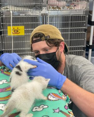 Brett Dier Instagram - Hello beautiful people. 
We need help fostering kittens!!! 
“Every year, thousands of kittens arrive at our nation’s animal shelters, and your help is needed to ensure every life is saved. By fostering a kitten (or two), you’re providing them with a chance to grow up and find families of their very own.”

Hopefully this resonates with people, and if you do decide to foster, feel free to reach out and let me know how it’s going! 

Sign up to foster today at the link in my bio and check your local shelters as well!

Lots of love to everyone who stopped by 😻 
@bestfriendsanimalsociety