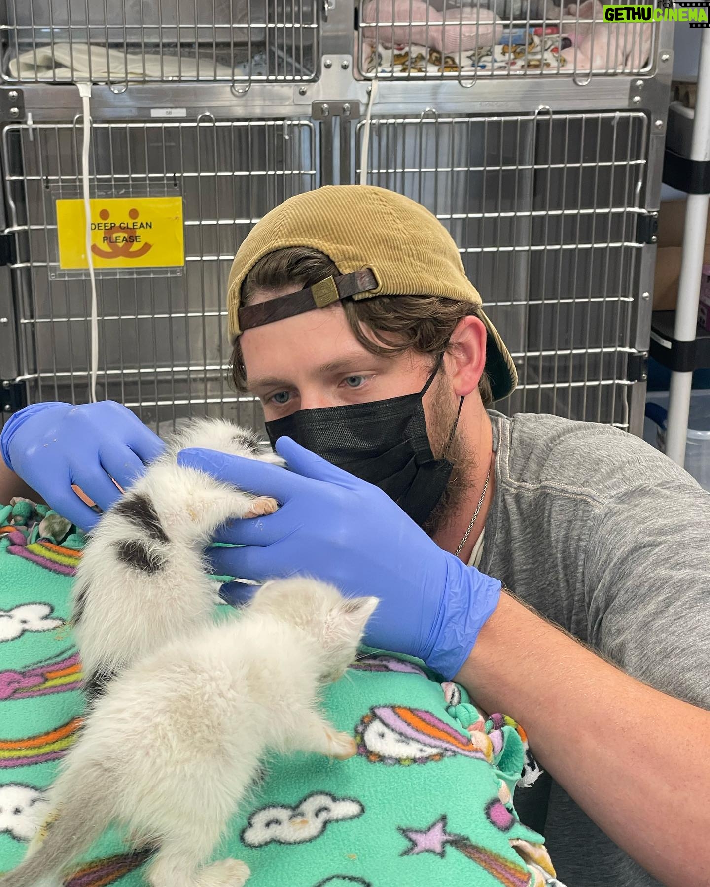 Brett Dier - 46.6K Likes - Hello beautiful people.
We need help fostering kittens!!!
“Every year, thousands of kittens arrive at our nation’s animal shelters, and your help is needed to ensure every life is saved. By fostering a kitten (or two), you’re providing them with a chance to grow up and find families of their very own.”
Hopefully this resonates with people, and if you do decide to foster, feel free to reach out and let me know how it’s going!
Sign up to foster today at the link in my bio and check your local shelters as well!
Lots of love to everyone who stopped by 😻
@bestfriendsanimalsociety