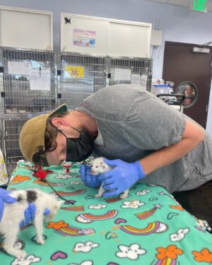 Brett Dier Instagram - Hello beautiful people. 
We need help fostering kittens!!! 
“Every year, thousands of kittens arrive at our nation’s animal shelters, and your help is needed to ensure every life is saved. By fostering a kitten (or two), you’re providing them with a chance to grow up and find families of their very own.”

Hopefully this resonates with people, and if you do decide to foster, feel free to reach out and let me know how it’s going! 

Sign up to foster today at the link in my bio and check your local shelters as well!

Lots of love to everyone who stopped by 😻 
@bestfriendsanimalsociety