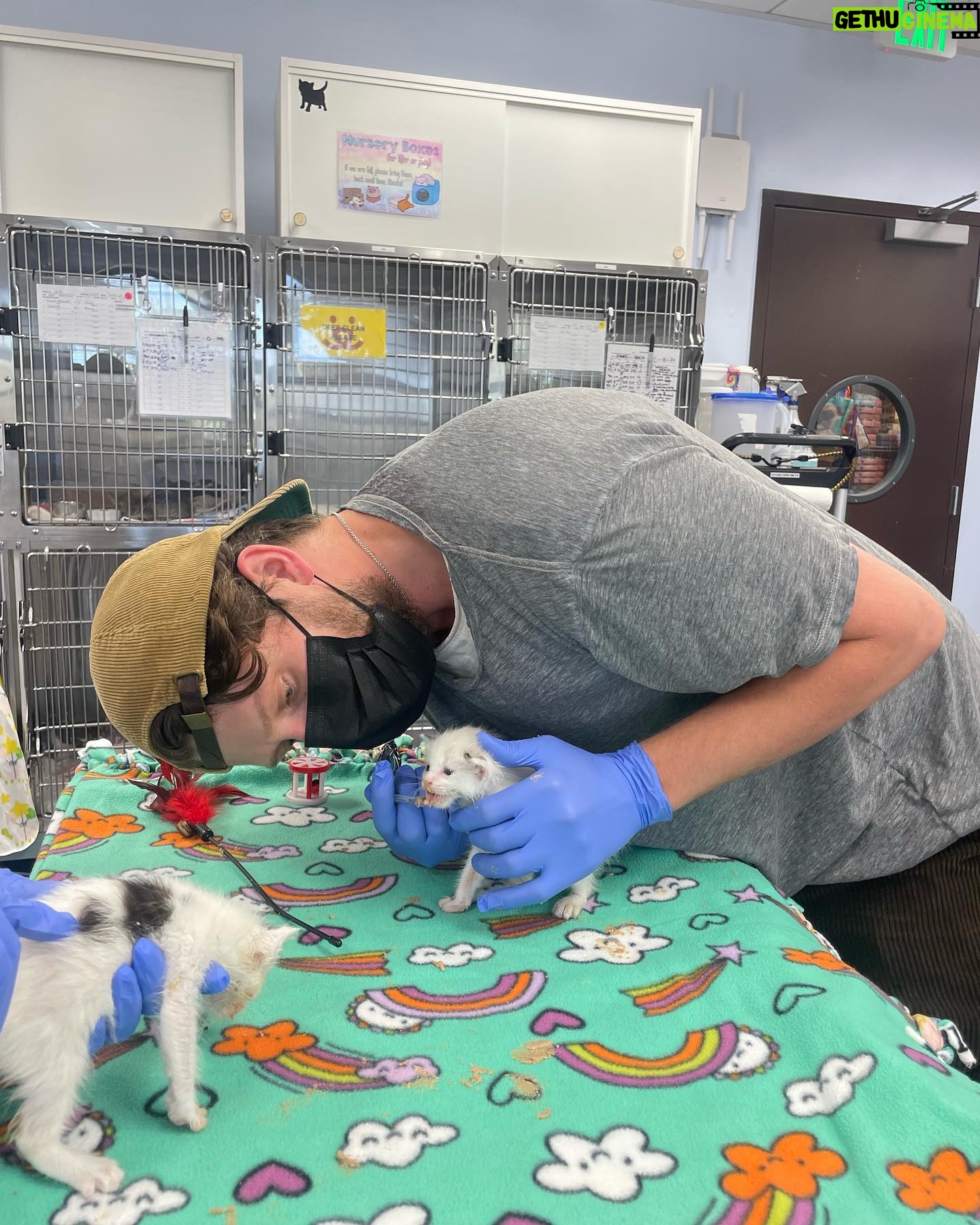 Brett Dier - 46.6K Likes - Hello beautiful people.
We need help fostering kittens!!!
“Every year, thousands of kittens arrive at our nation’s animal shelters, and your help is needed to ensure every life is saved. By fostering a kitten (or two), you’re providing them with a chance to grow up and find families of their very own.”
Hopefully this resonates with people, and if you do decide to foster, feel free to reach out and let me know how it’s going!
Sign up to foster today at the link in my bio and check your local shelters as well!
Lots of love to everyone who stopped by 😻
@bestfriendsanimalsociety