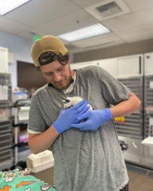 Brett Dier Instagram - Hello beautiful people. 
We need help fostering kittens!!! 
“Every year, thousands of kittens arrive at our nation’s animal shelters, and your help is needed to ensure every life is saved. By fostering a kitten (or two), you’re providing them with a chance to grow up and find families of their very own.”

Hopefully this resonates with people, and if you do decide to foster, feel free to reach out and let me know how it’s going! 

Sign up to foster today at the link in my bio and check your local shelters as well!

Lots of love to everyone who stopped by 😻 
@bestfriendsanimalsociety