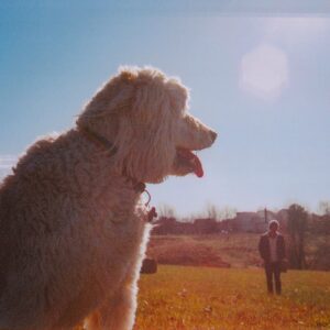 Brian David Gilbert Instagram - Today, my best friend of 14 years had to be put down. I haven’t been able to see him since August of last year, and as much as I tell myself “He was old, he had a wonderful life,” the news still hit me like a truck. He was with me for more than half of my life, and regardless of how insufferable I was in my adolescence, he loved me through all of it. I can’t imagine how much worse off I’d be if I didn’t have him around. 

He liked dancing a lot, and holding your hand while he was nervous in the car, and going on adventures on the train tracks. Everyone says they have the best dog in the world, and the beautiful thing is that everyone is right about that. Moose was the best dog in the world. Rest easy, buddy.