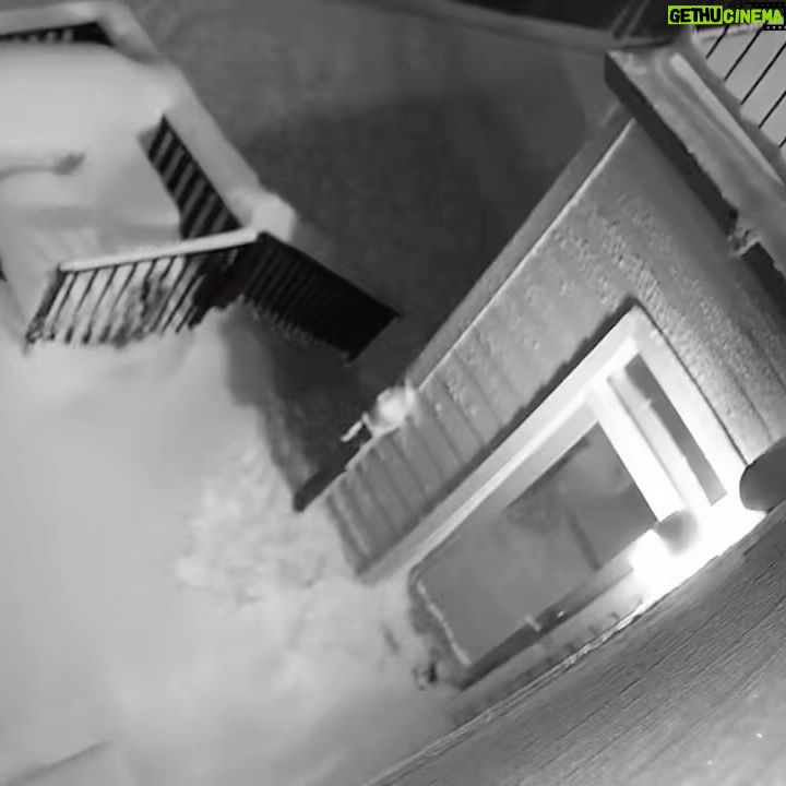 Brian Hanby - 82.8K Likes - I’m not very good in the snow. Stairs are difficult.