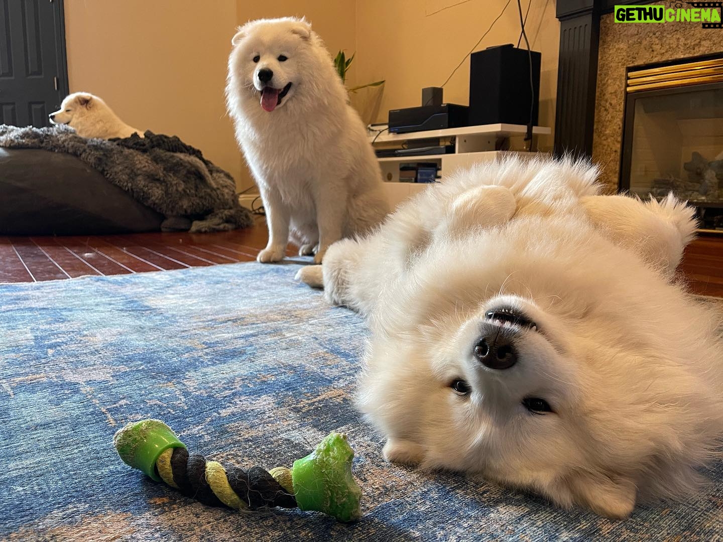 Brian Hanby - 21.6K Likes - Floofs
