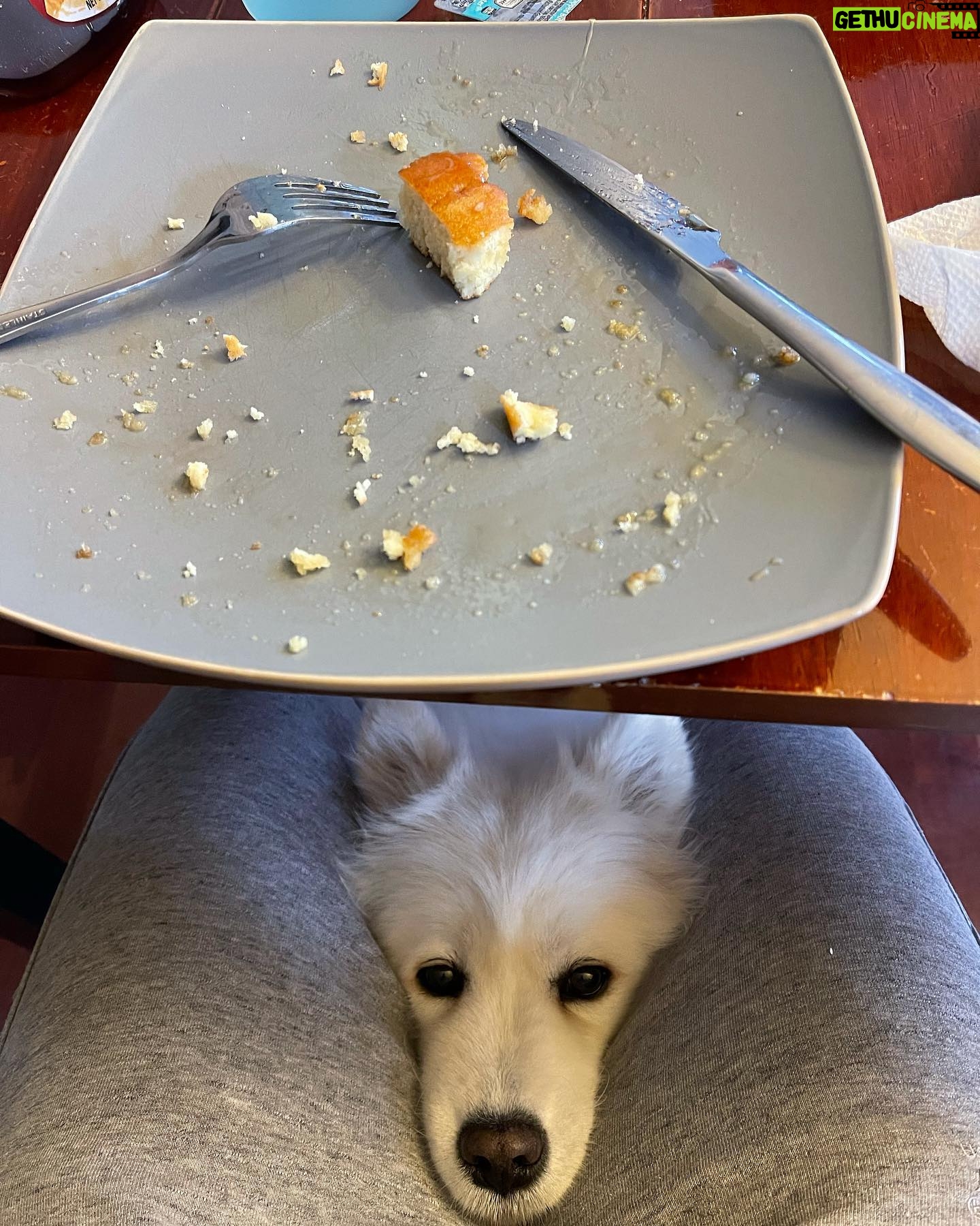Brian Hanby - 44.7K Likes - “Psst….give food plz!”