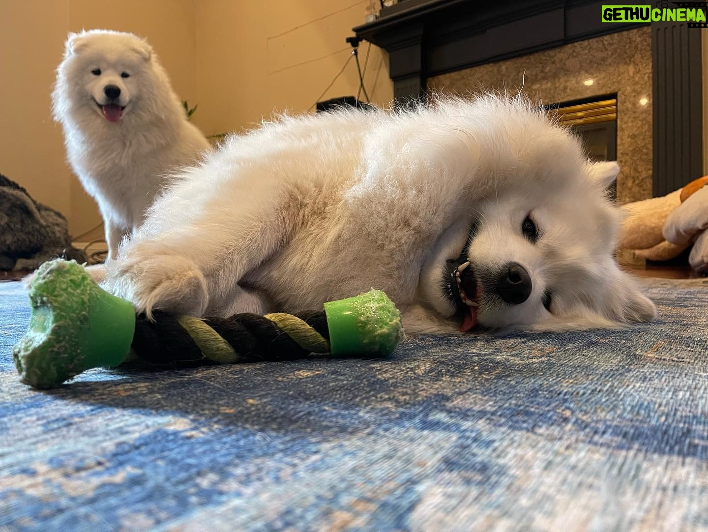 Brian Hanby - 21.6K Likes - Floofs