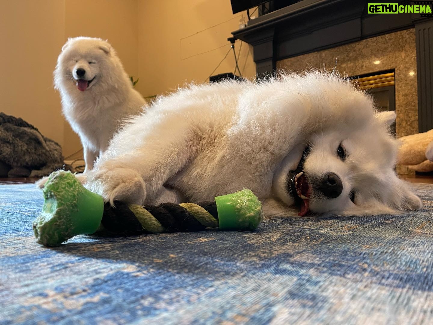 Brian Hanby - 21.6K Likes - Floofs