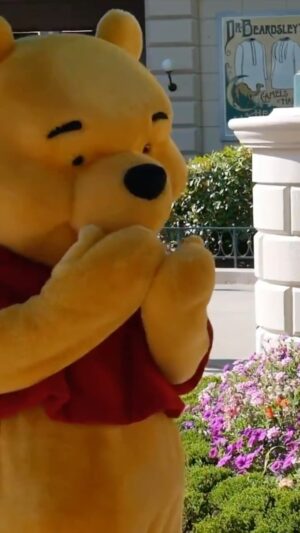 Brian Hull Instagram - Pooh Was So Happy #disney #disneylandparis #disneyland #pooh #tigger #impressions