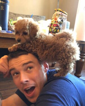 Brian J. Smith Instagram - Play time with @thesistershundchken 🐶 
#maltipoosofinstagram