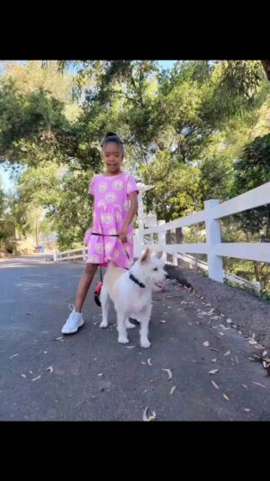 Brian J. White Instagram - ❤️❤️😁🕺🏾🙏🏾 "@pauwhite Summer 2022, as it was. #theendofsummer #summervibes #californiadreaming 

#brianwhite 
#brianjwhite
#LaylaSimone