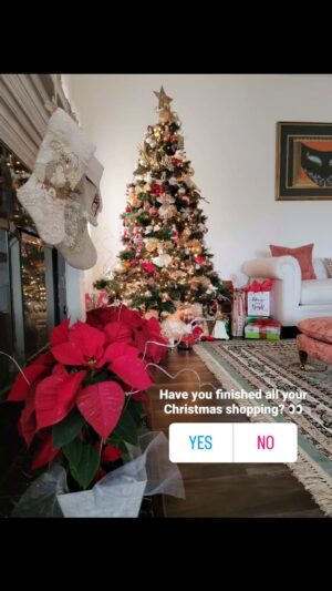 Brian J. White Instagram - 2 more days...

Have you finsihed all your Christmas shopping? 👀

🎄🎁
