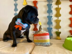 Brian Michael Smith Instagram - Our bebe is Three 🫶🏾💕🐾
Happy Birthday @tchalladachug #chuglife