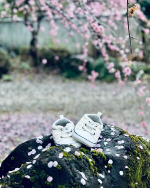 Brian Patrick Flynn Instagram - When your shoes have been to epic AF places but you still have to get born so you can wear them and continue the tradition.