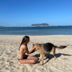 Brisa Fenoy