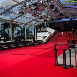 Brit MacRae - 3 Likes - Cannes we get an Amen 🇫🇷
#cannesfestival #cannes #cannesfestival2024 #redcarpet #moviepremiere #rumours #KINO