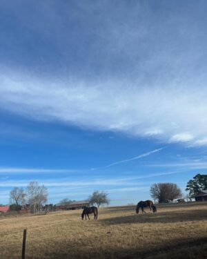 Brit MacRae Instagram - Stroll and scroll