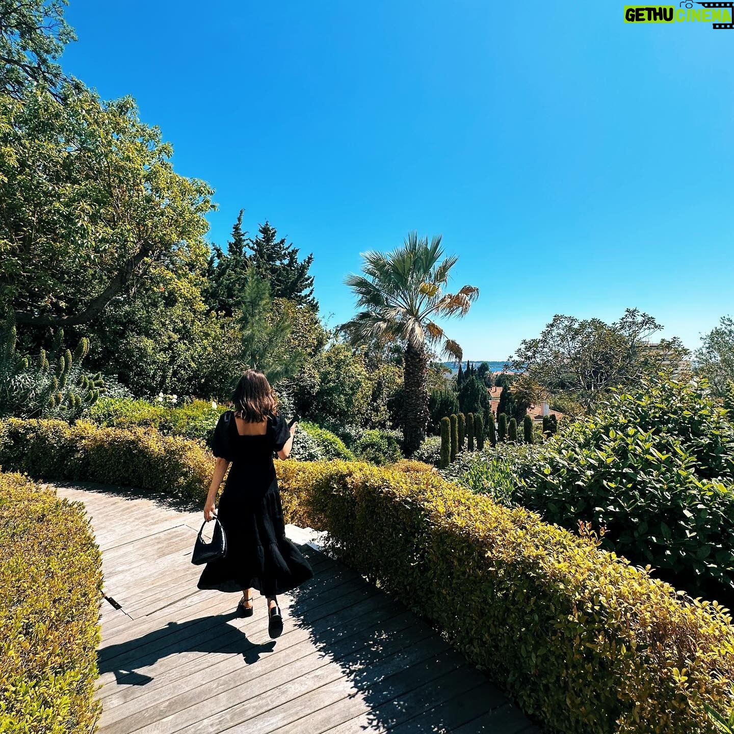 Brit MacRae - 3 Likes - @forbes x @festivaldecannes 🇫🇷