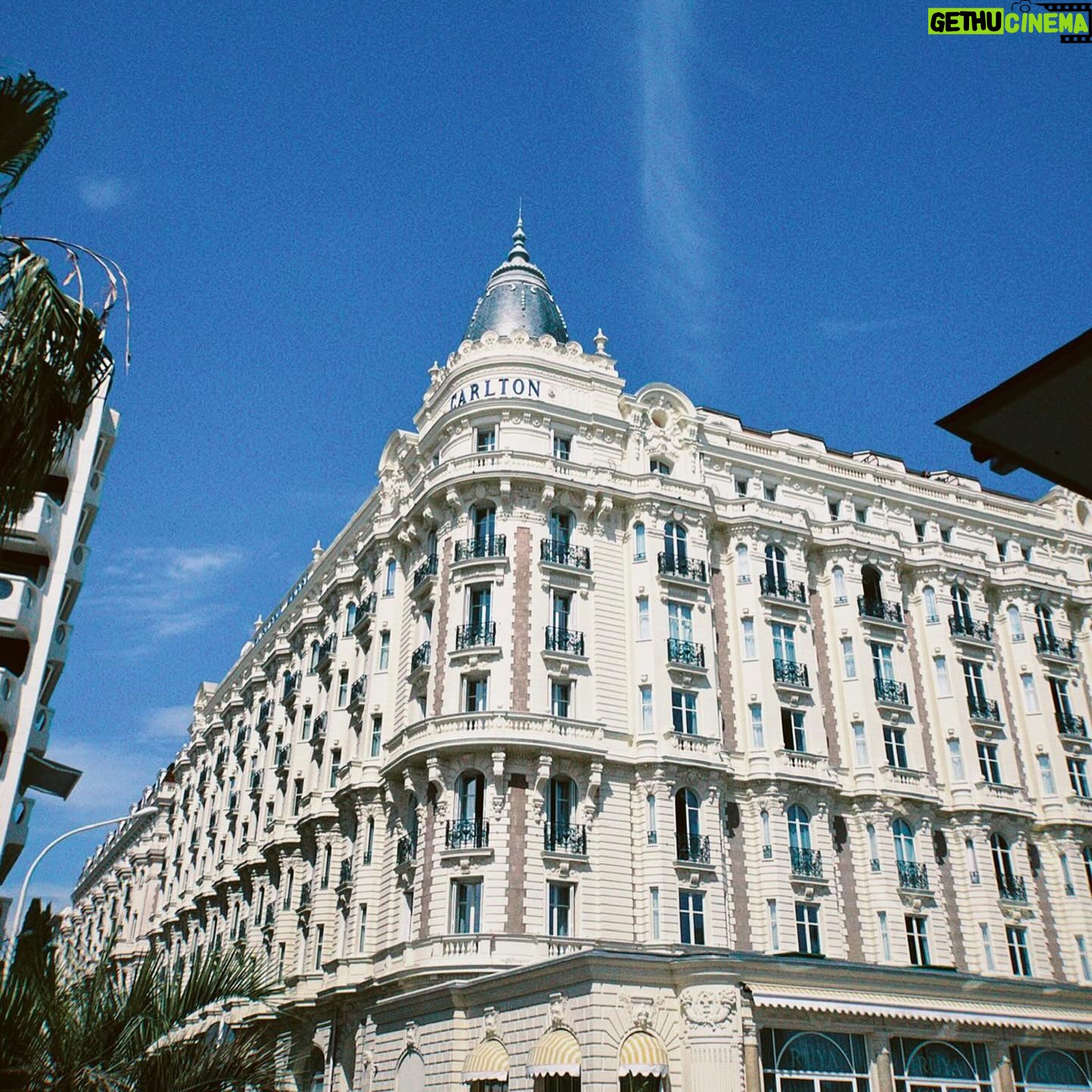 Brit MacRae - 3 Likes - @forbes x @festivaldecannes 🇫🇷