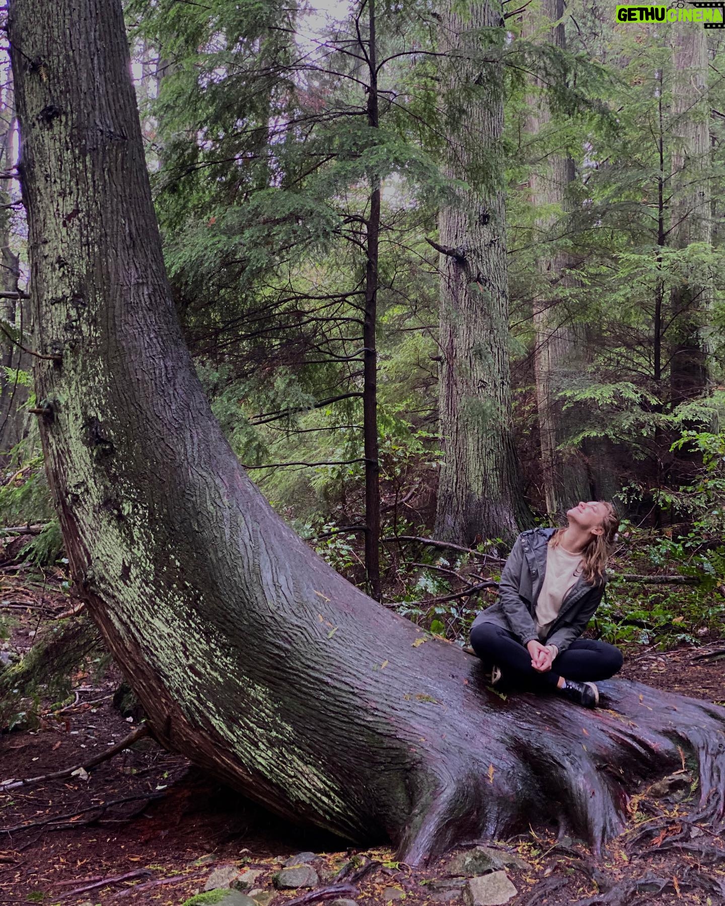 Brit Morgan - 2K Likes - 🦕