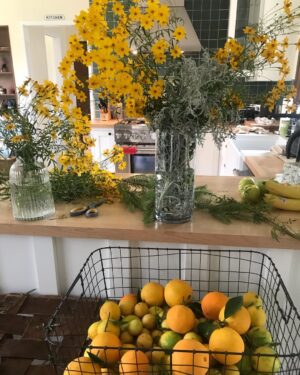 Brit Morgan Instagram - Backyard Winter harvest 🍋🌼🧡