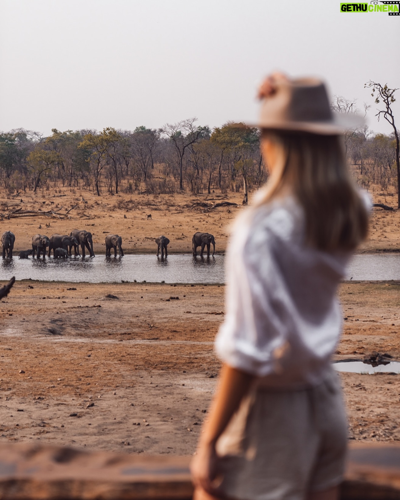 Brooke Bruk-Jackson - 312 Likes - Our favorite safari style?
•
Laid back and comfy but always chic.
•
When you join us at Khulu Bush Camp, you never know when a photo op with the Presidential Herd of Elephants may present 📸
📸 @rachelrebibo
#safarichic
