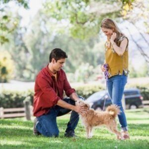 Brooke Nevin Instagram - Baxter loves treats. 
A good belly rub. 
And curling up on the couch with a romcom...
“Hometown Hero” is on @hallmarkchannel tomorrow! 💕🐾See what happens when four paws bring two hearts together...
And thanks to @hallmarkpodcast for having me on to talk about it!
📷: @shaunmbenson