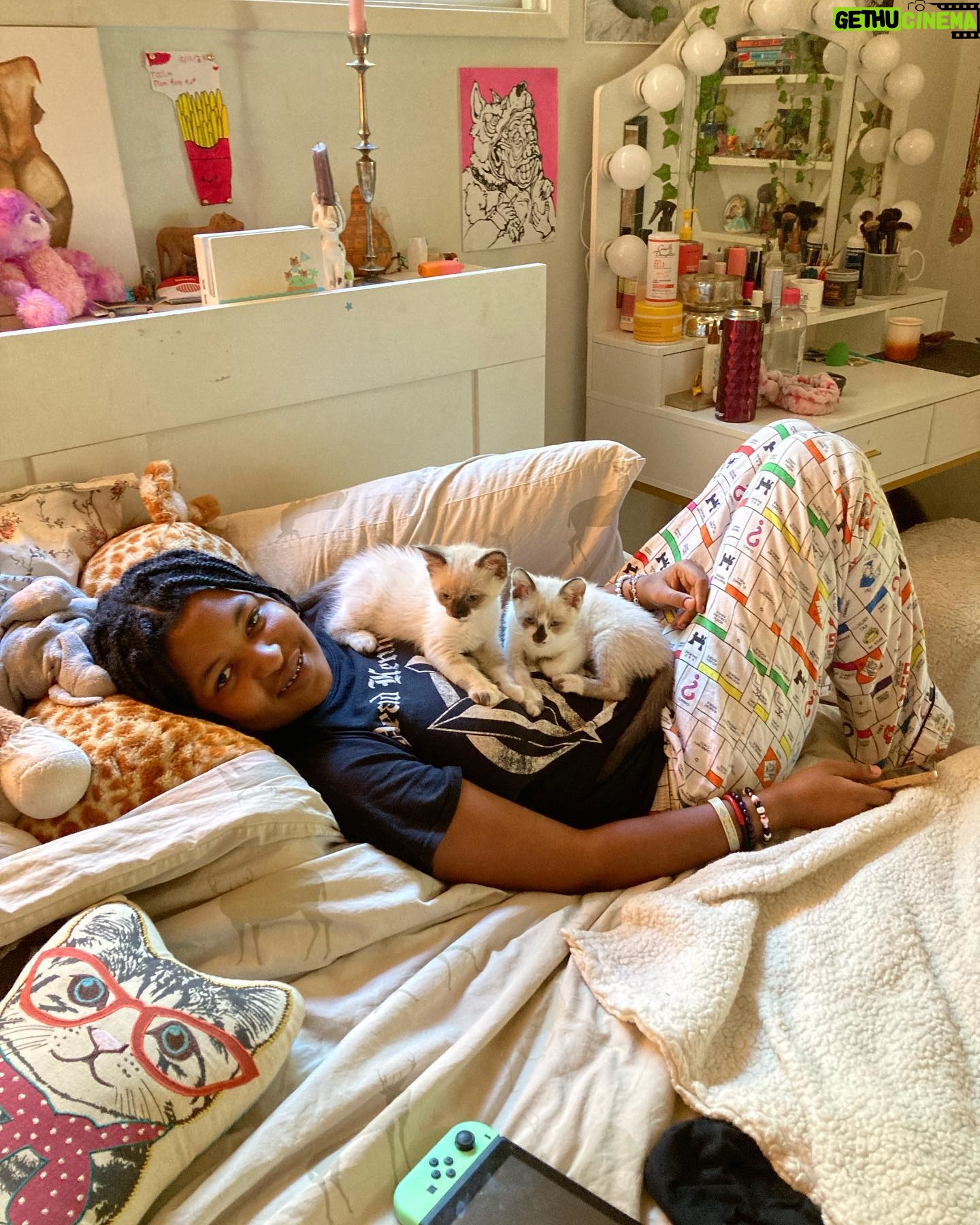 Brooke Smith - 481 Likes - Zion Zora are home at last!!! ❤️❤️#aspca @aspca