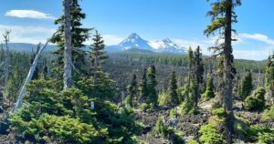 Bruce Campbell Instagram - Summer   Oregon = just about perfect.