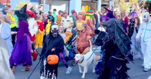 Bruce Campbell Instagram - Life is a parade - funny, odd, disturbing, but never boring.