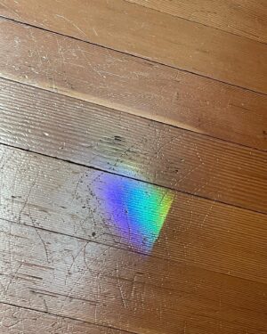 Bruce Campbell Instagram - Rainbows are everywhere.