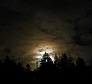 Bruce Campbell Instagram - Night-night, light.