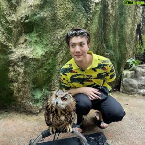 Bruce Sirikorn Kananuruk Instagram - Old and Owl and Me🤣🦉❤️