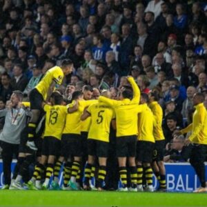 Bruno Alves Instagram - Team work , team spirit, team behavior and team atitude this are the elements that make us strong, better and win . The same conviction the same purpose the same commitment AEK . This is being @aekfc_official