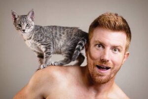 Bryce Eilenberg Instagram - The dynamic duo.
.
.
.
.
.
.
#dynamicduo #cats #catsofinstagram #catstagram #cats_of_instagram