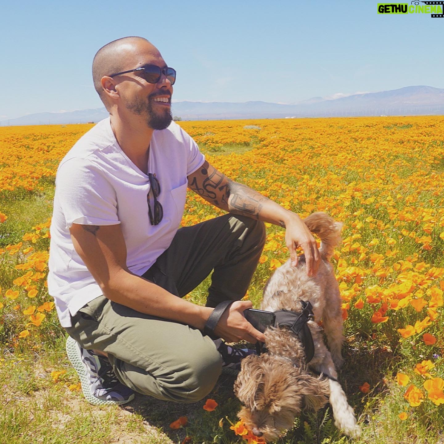 Bryton James - 10.3K Likes - 🍯 🐾 🧡