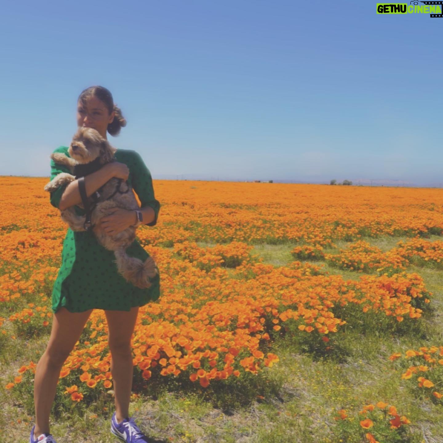 Bryton James - 10.3K Likes - 🍯 🐾 🧡