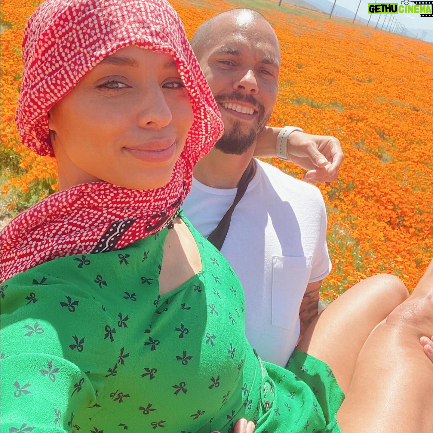 Bryton James - 10.3K Likes - 🍯 🐾 🧡