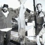 Bud Spencer