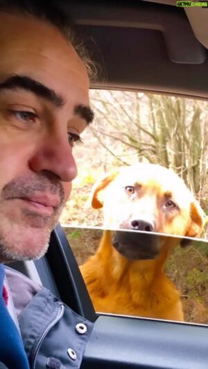 Bülent Alkış Instagram - 
