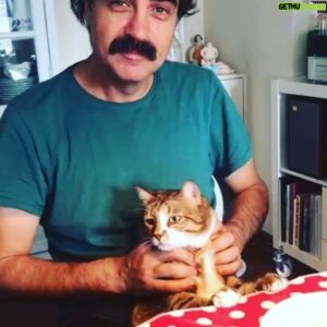 Bülent Alkış Instagram - #bonbon#cat#cats#instacat #catstagram