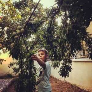 Bülent İnal Instagram - Babaannede erik topluyoz:)))