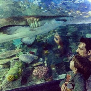 Bülent İnal Instagram - Çınar'la akvaryum keyfi🐟🐟🐟