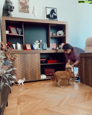 Burak Aksak Instagram - 🦮🐈🐎