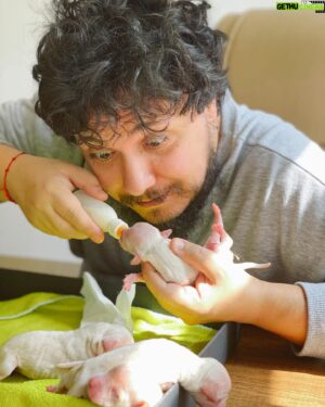 Burak Aksak Instagram - ramazan sabır ve mucize ayıdır. bu minikler ve anneleri bir mucize olarak hayattalar. ve bize sabrı öğretiyorlar. gece gündüz, saat başı bakıma muhtaçlar. leyla'nın yavruları değil ama anneleri gibi bekliyor hepsinin başında. ayrıca annelerine kan verdi, dünyaya gelmeleri için yardım etti. sahiplendirme kısmıyla ben ilgilenmiyorum. şu an tek uğraşımız minikleri hayatta tutmak. yaşasınlar da hele elbet bir yer bulunur hepsine. 12'si de başımıza kalacak değil ya. kalmaz ya. kalmasın yani. yok canım artık daha neler? neyse, annelerine @papsivet bebekler gibi bakarken, kendisine çift lafım var. sid'in de dediği gibi; "hanım hanım! bunlar benim yavrularım!"