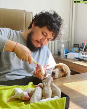 Burak Aksak Instagram - ramazan sabır ve mucize ayıdır. bu minikler ve anneleri bir mucize olarak hayattalar. ve bize sabrı öğretiyorlar. gece gündüz, saat başı bakıma muhtaçlar. leyla'nın yavruları değil ama anneleri gibi bekliyor hepsinin başında. ayrıca annelerine kan verdi, dünyaya gelmeleri için yardım etti. sahiplendirme kısmıyla ben ilgilenmiyorum. şu an tek uğraşımız minikleri hayatta tutmak. yaşasınlar da hele elbet bir yer bulunur hepsine. 12'si de başımıza kalacak değil ya. kalmaz ya. kalmasın yani. yok canım artık daha neler? neyse, annelerine @papsivet bebekler gibi bakarken, kendisine çift lafım var. sid'in de dediği gibi; "hanım hanım! bunlar benim yavrularım!"