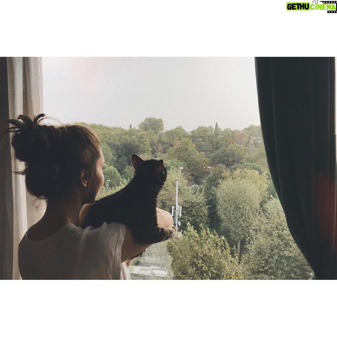 Burcu Oktav - 3 Likes - 🐾🖤