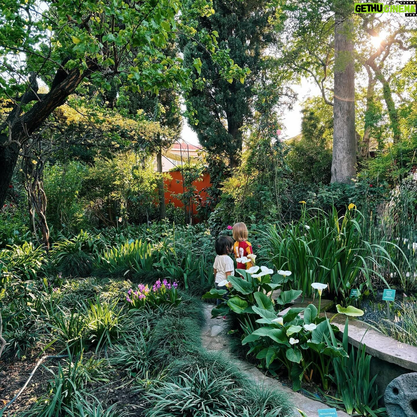Büşra Çam - 3 Likes - 🌿👩🌾🌾⛲️🌺🌼🌱