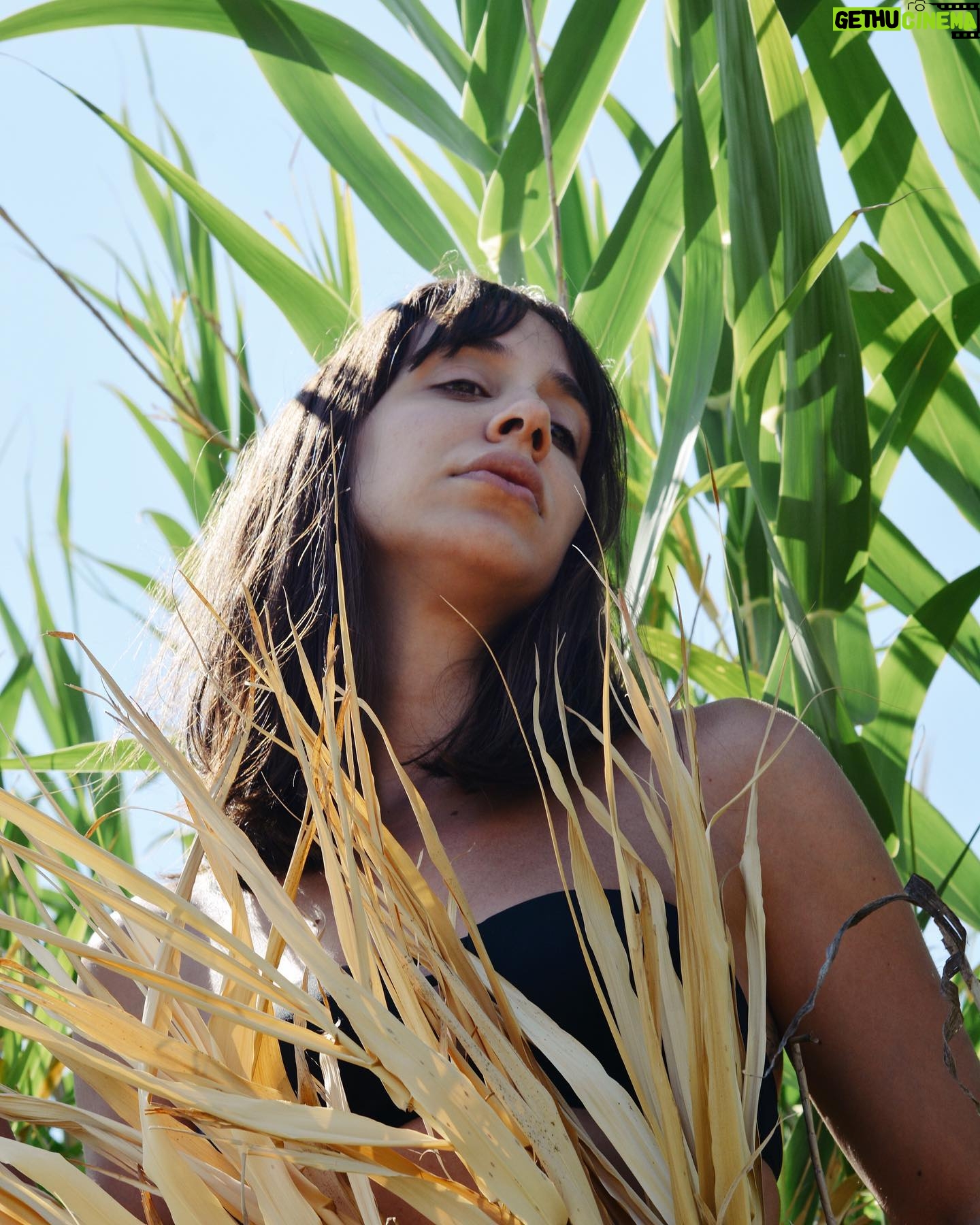 Büşra Çam - 1.1K Likes - Büşraları doğaya salın 🍀🌿🍃