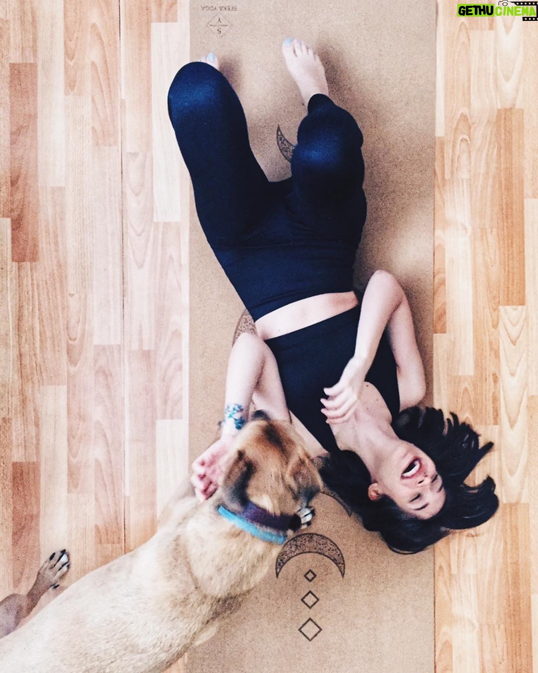 Büşra Çam - 1.2K Likes - Love me love me say that you love me 🐕 #abeatisofficial