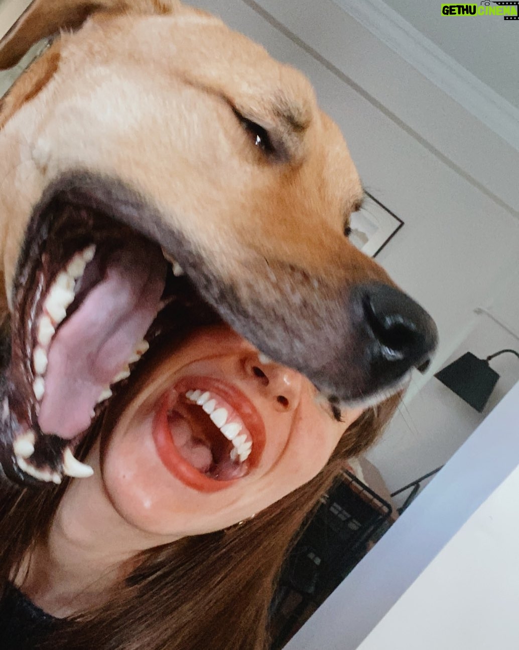 Büşra Çam - 1K Likes - Birlikteyken çok gülüyoruz #kahvebey #lol #dogsofinstagram